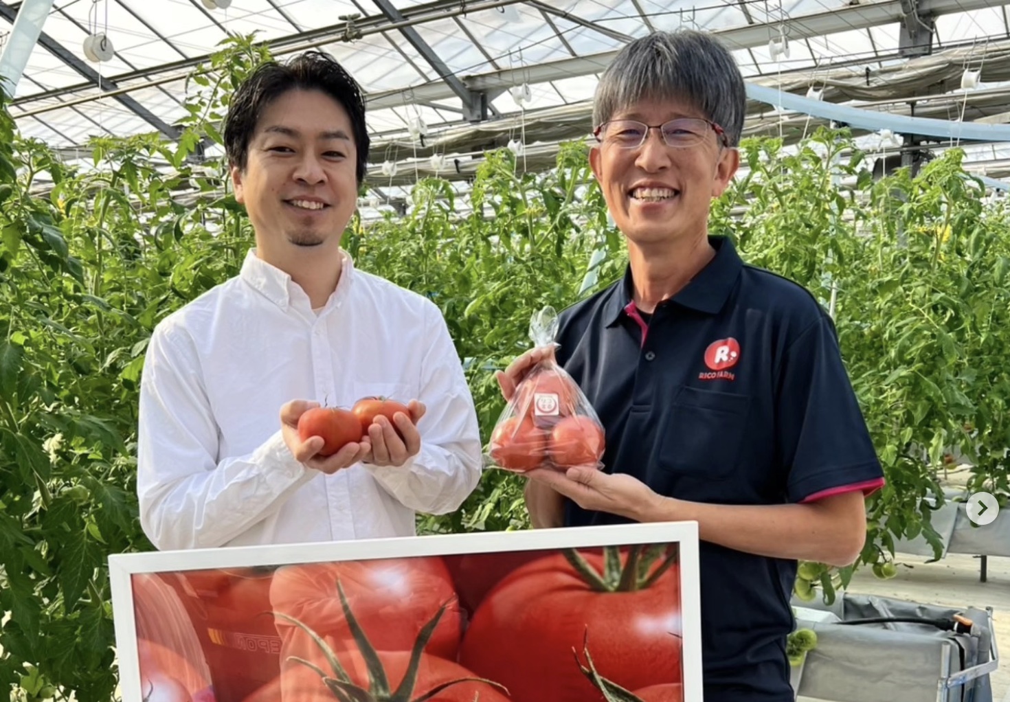 トマト農園にて生産者と語らう代表・吉田祐幸